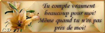 pensees